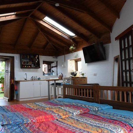 Finca Casa Madera 1 Icod De Los Vinos Dış mekan fotoğraf