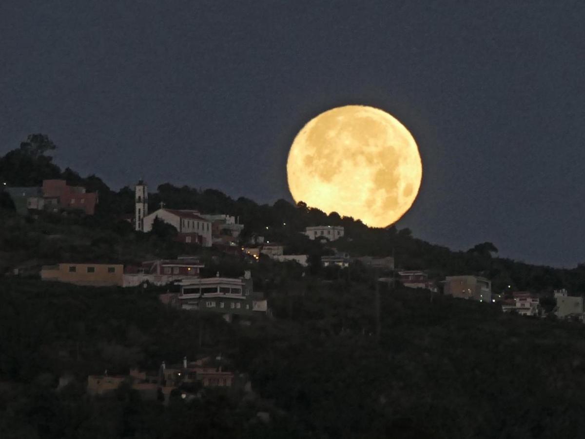 Finca Casa Madera 1 Icod De Los Vinos Dış mekan fotoğraf