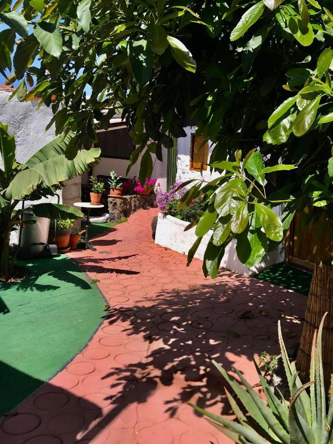 Finca Casa Madera 1 Icod De Los Vinos Dış mekan fotoğraf