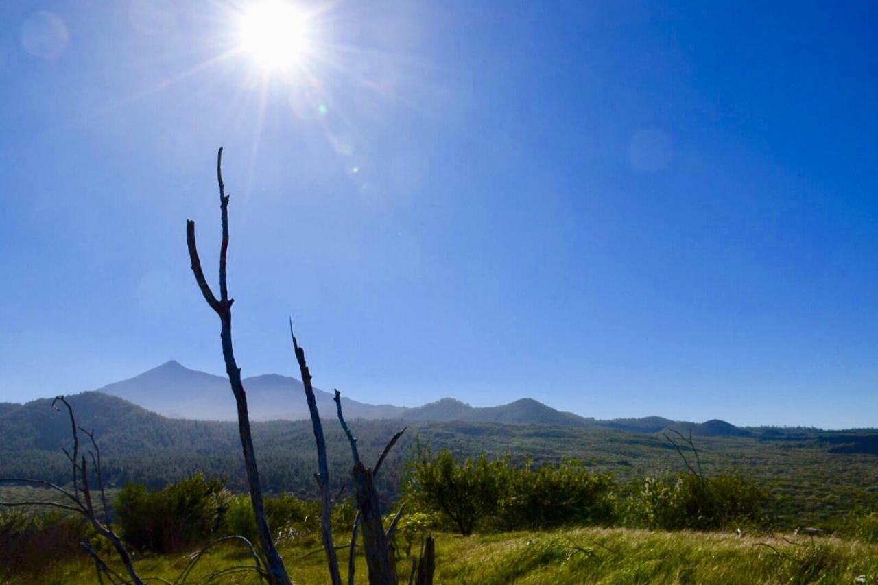 Finca Casa Madera 1 Icod De Los Vinos Dış mekan fotoğraf