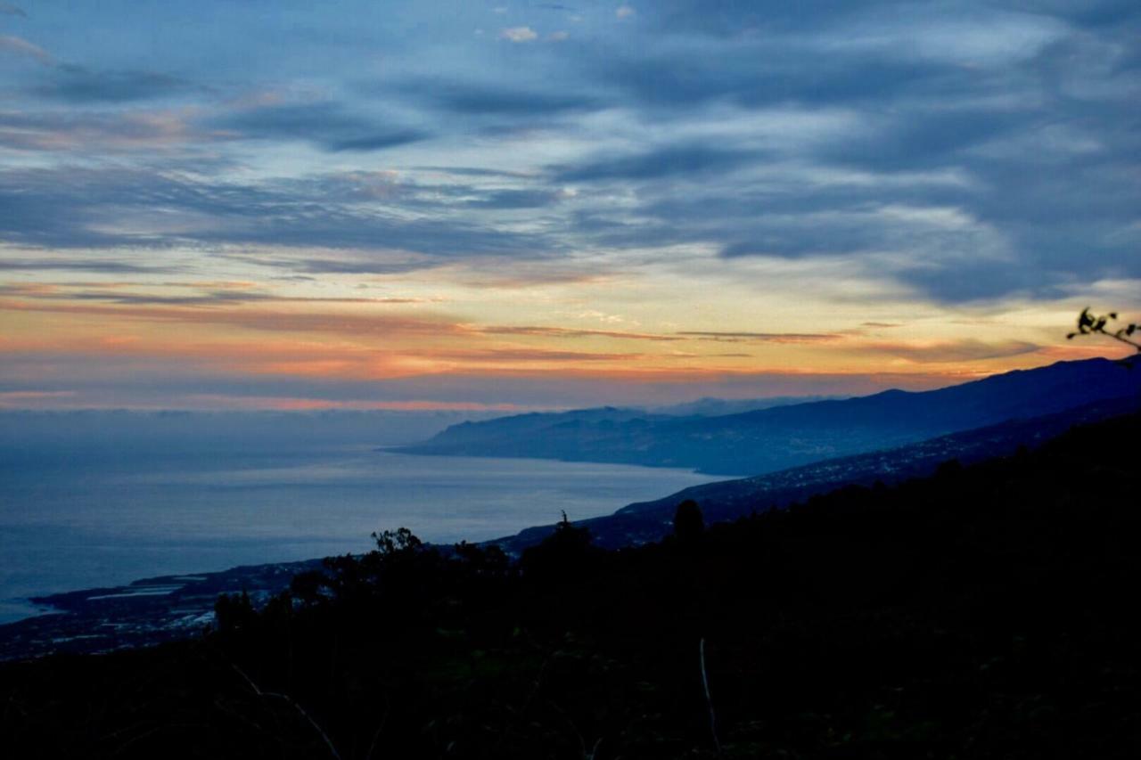 Finca Casa Madera 1 Icod De Los Vinos Dış mekan fotoğraf