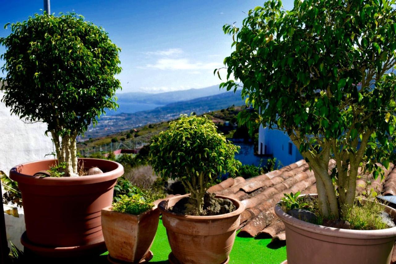 Finca Casa Madera 1 Icod De Los Vinos Dış mekan fotoğraf